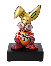 画像をギャラリービューアに読み込む, ORANGE RABBIT
