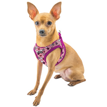 画像をギャラリービューアに読み込む, BRITTO® PET SMALL DOG HARNESS AND LEASH - Pink Bones and Hearts
